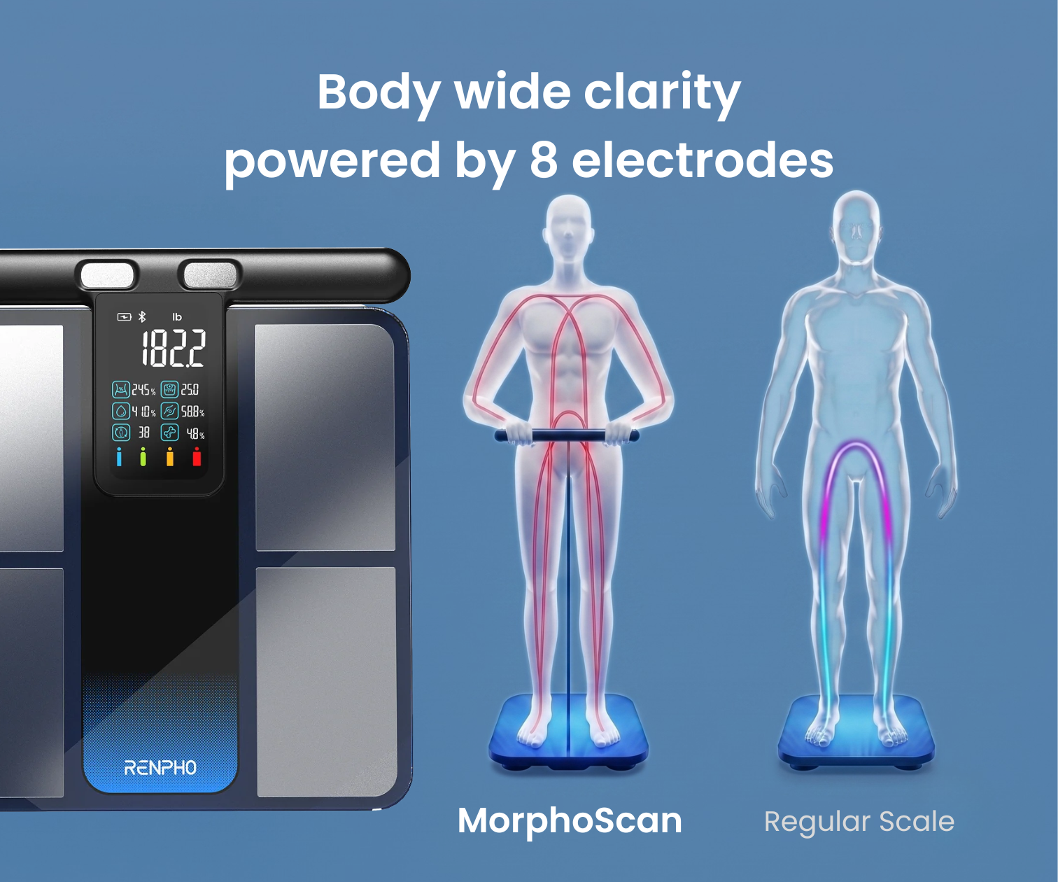 MorphoScan Smart Body Scale