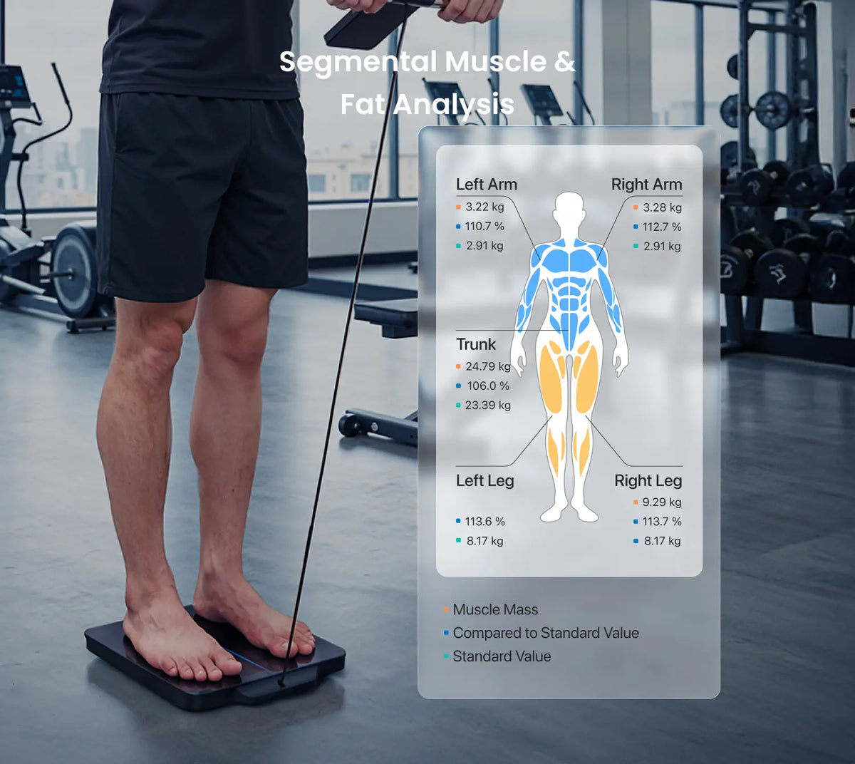 MorphoScan Nova Body Composition Scale