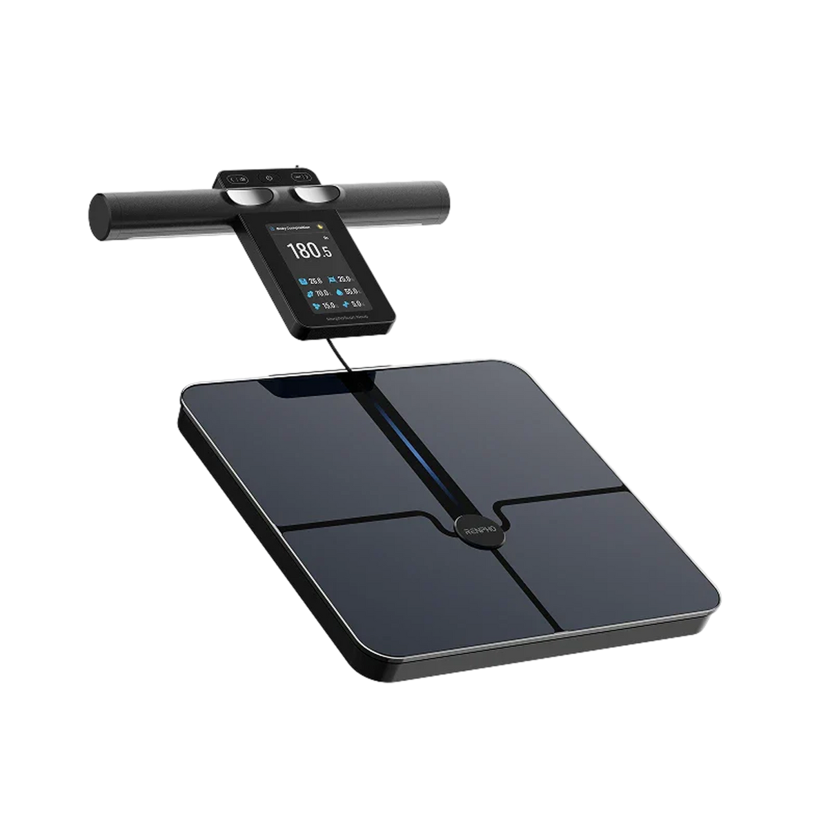 MorphoScan Nova Body Composition Scale