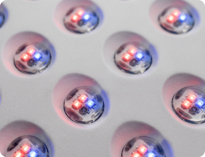 Close-up view of densely spaced LED bulbs